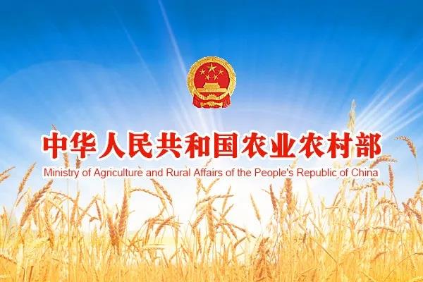 5f2bbdffc0c13.jpg 5f2bbdffc0c13.jpg